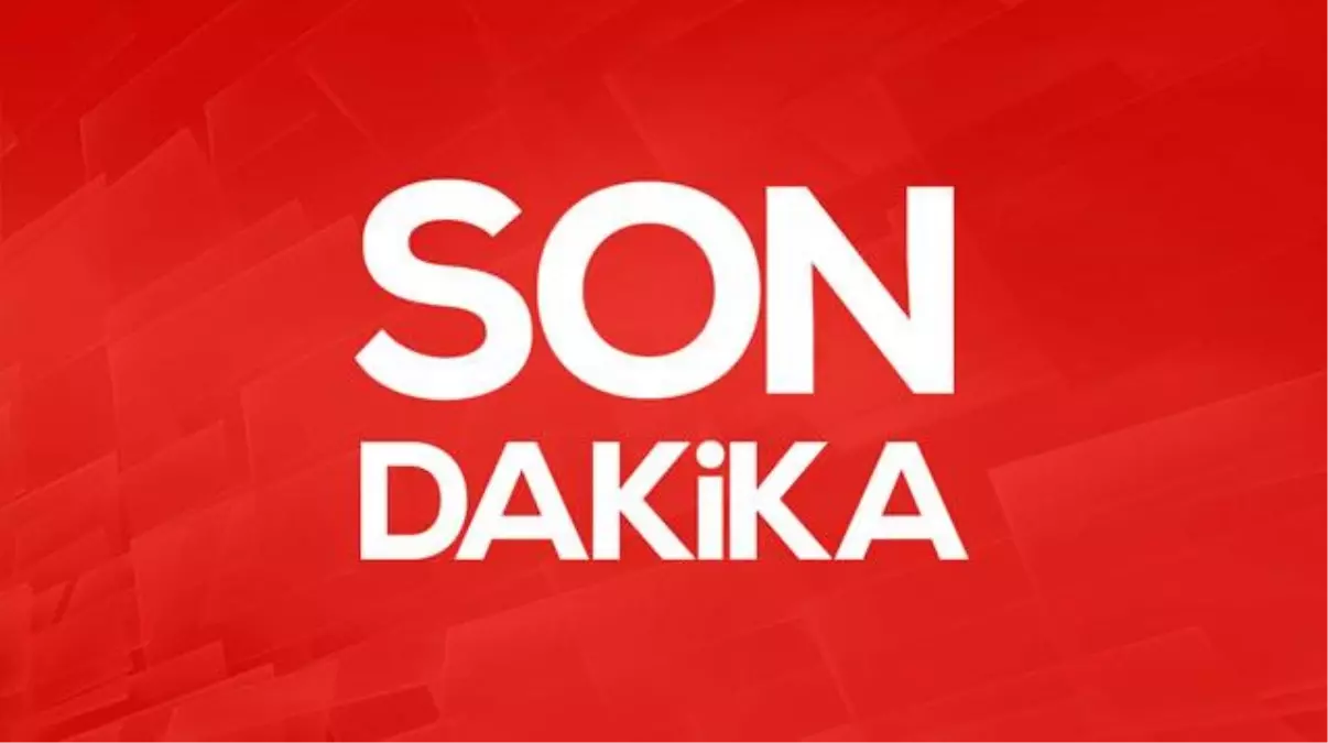 konyada-2-yasindaki-rananin-basibos-kopek-saldirisinda-olmesine-iliskin-icisleri-bakanligi-iki-mufettis-gonderdi-zt174cAd.jpg