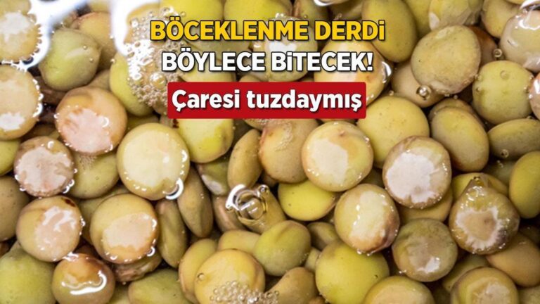 baklagilleriniz-asla-boceklenmeyecek-is-bitiren-uclu-defne-tuz-ve-sarimsak-ixXV3pSE.jpg