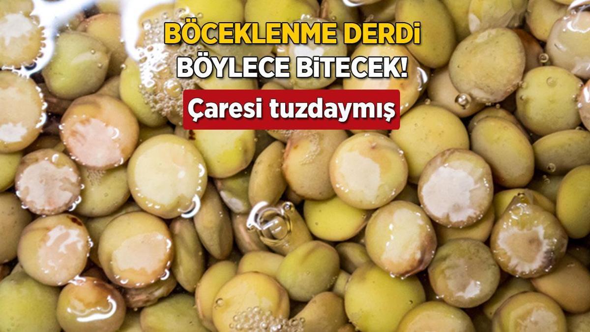 baklagilleriniz-asla-boceklenmeyecek-is-bitiren-uclu-defne-tuz-ve-sarimsak-ixXV3pSE.jpg