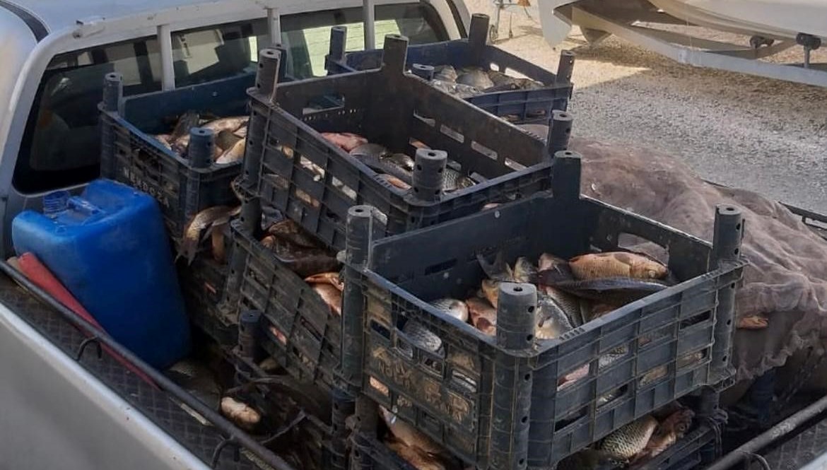 kacak-avlanan-700-kilogram-balik-ele-gecirildi-tPcB2e4C.jpg