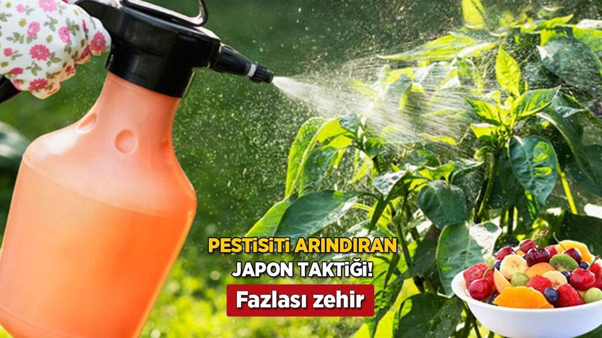 sebze-meyvedeki-pestisiti-yok-eden-japon-taktigi-evdeki-2-malzeme-yetiyor-IuhxYBKK.jpg