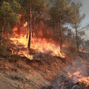 tokat gij gij tepesinde orman yangini kontrol altina alindi MOTps7re