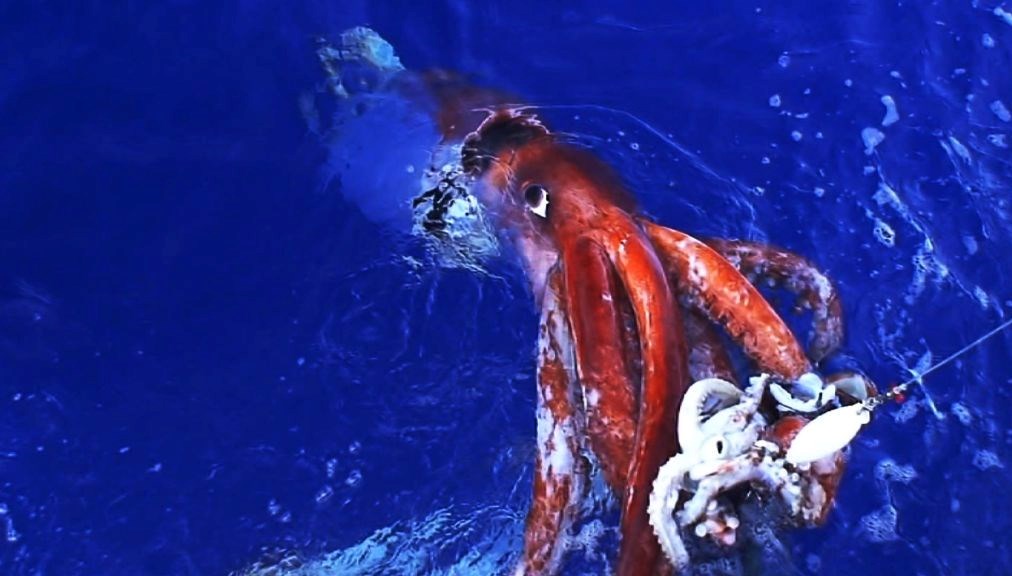 murekkepbaliklari cocuklara yonelik zeka testini gecti sxq7WesE