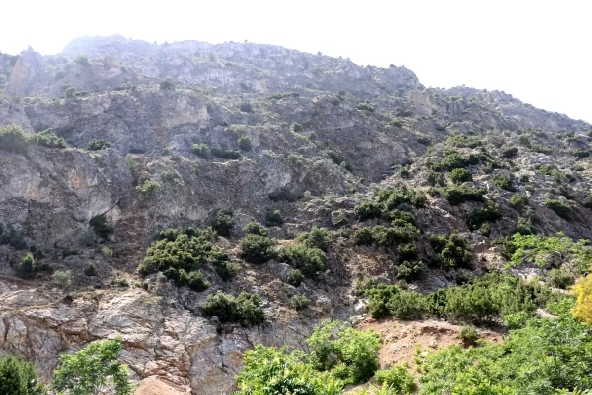 ispartada kaybolan 75 yasindaki adam icin arama calismalari baslatildi ckrbdh1n.jpg