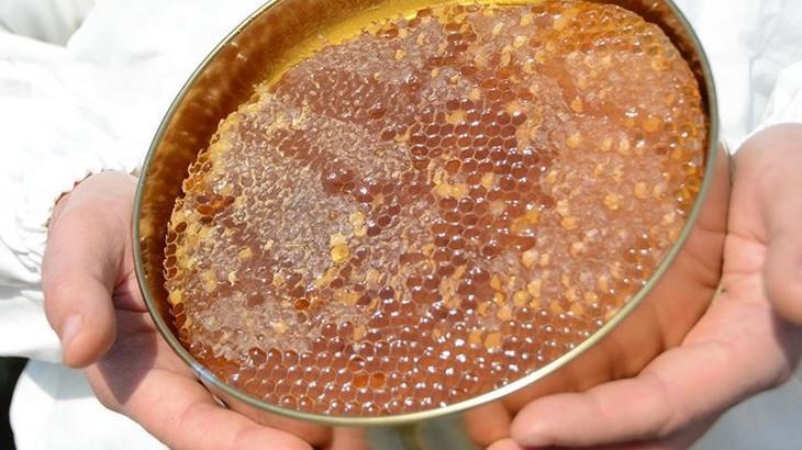 turk balinda 234 milyon dolarlik ihracat gerceklestirildi aR2YYiZV.jpg