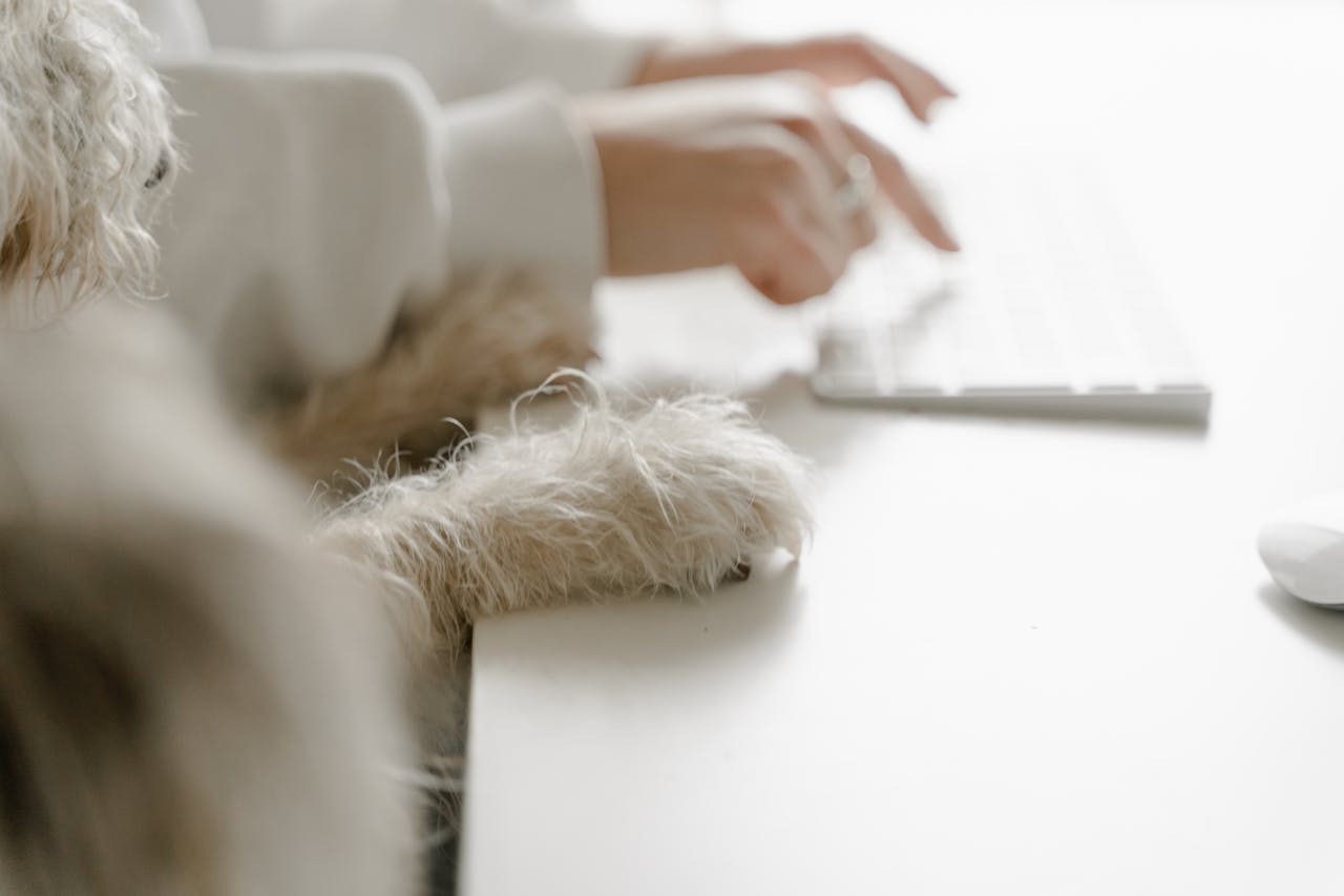 iş yerinde sevilmeyen yan haklar