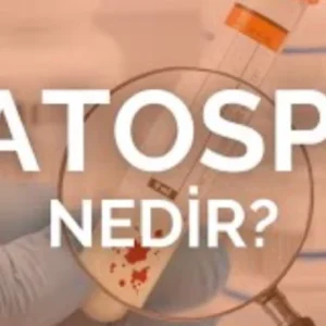Kanda Sperm Belirtisi: Hematosperm Nedir ve Ne Zaman Ciddiye Alınmalı?